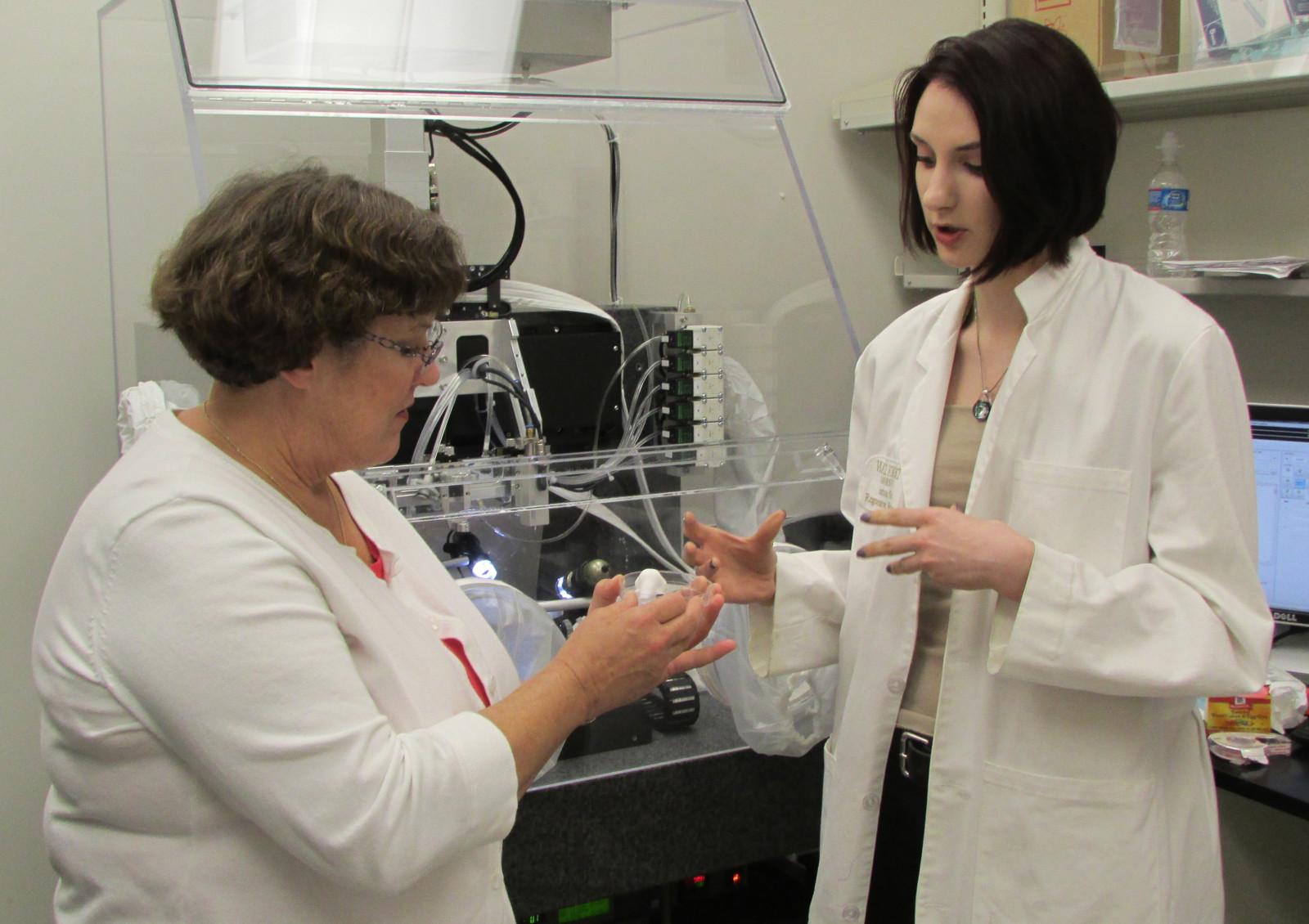 Summer dreams become possible through science